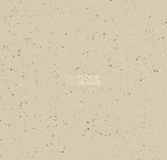 Линолеум Forbo Marmoleum Decibel on Order 358435 white chocolate фото 1 | FLOORDEALER